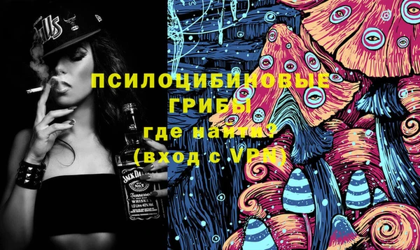 твердый Алексеевка