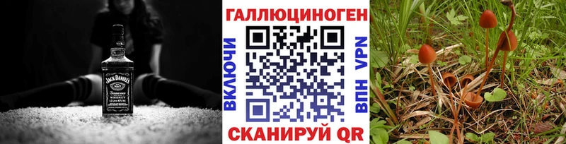 Купить закладки  Саянск  Псилоцибиновые грибы Magic Shrooms 