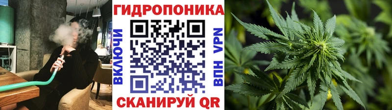 Купить закладки  Саянск  Канабис индика 